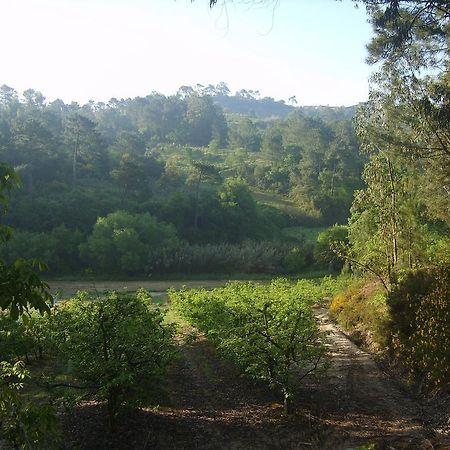مبيت وإفطار Alfeizerão Quinta Da Vida Serena المظهر الخارجي الصورة
