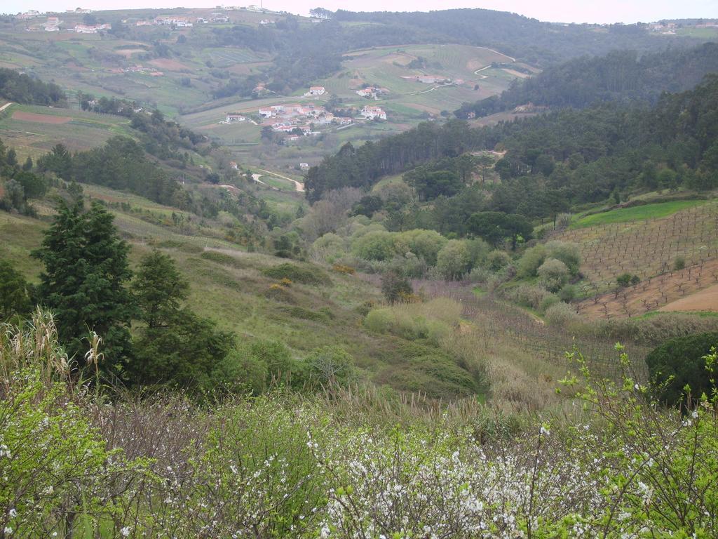 مبيت وإفطار Alfeizerão Quinta Da Vida Serena المظهر الخارجي الصورة